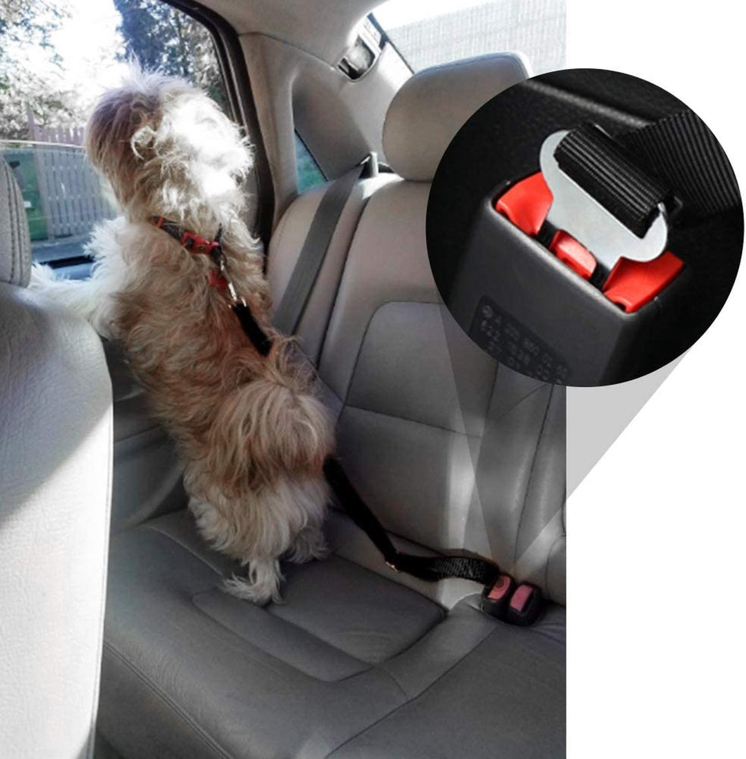 Autogordel Huisdier | Veilig je huisdier vervoeren